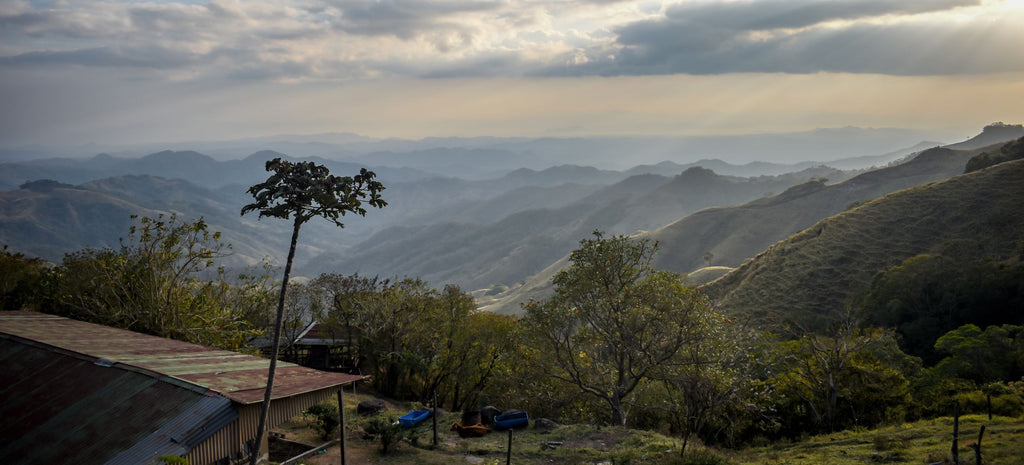 World’s Top Producing Coffee Countries: The Coffee Belt