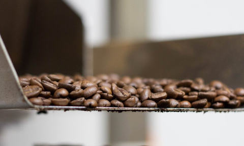 Coffee Beans Before Grinding