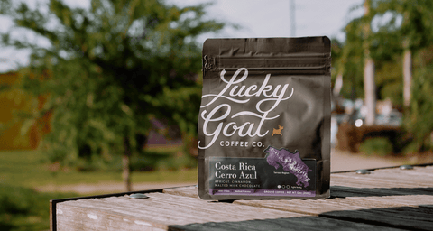 Summer Favorites Costa Rica Cerro Azul Single Origin Lucky Goat Coffee